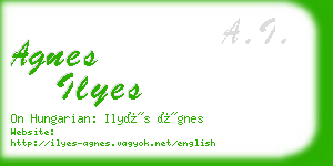 agnes ilyes business card